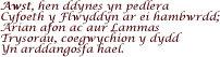 Awst, hen ddynes yn pedlera Cyfoeth y Flwyddyn ar ei hambwrdd…