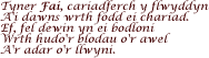 Tyner Fai, cariadferch y flwyddyn A’i dawns wrth fodd ei chariad…