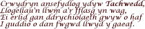 Crwydryn ansefydlog ydyw Tachwedd, Llogellau’n llwm a’r fflasg yn wag…